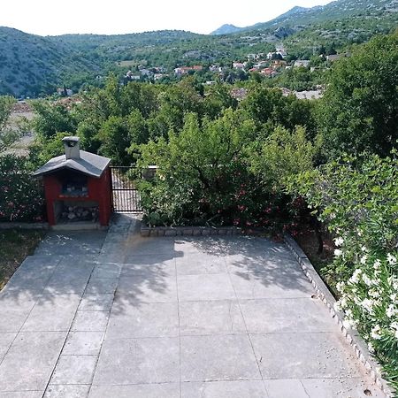 Villa Alexa Cesarica Buitenkant foto